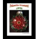 Poinsettia beaded Disc Christmas Ornament Cover Pattern