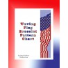 Waving Flag Bracelet Pattern Chart