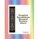 Tropical Transitions Bracelet Bead Pattern Chart